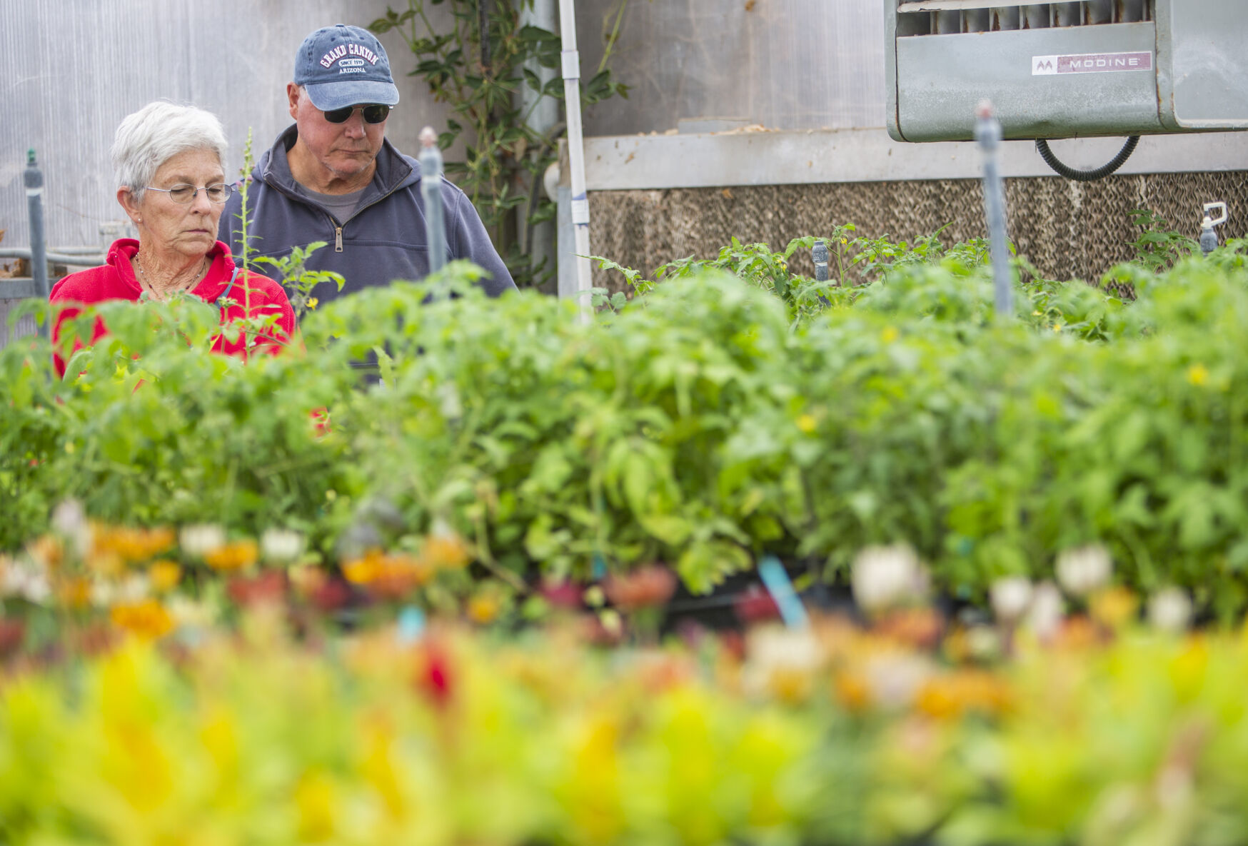 Filer FFA plant sales